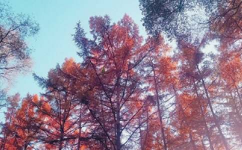 Ʒ�����յ�˽�Z(y��)������������