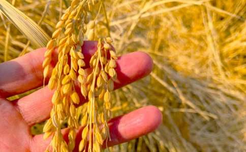 ����_������ի@����400��