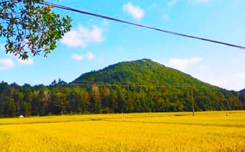 秋收作文400字5篇