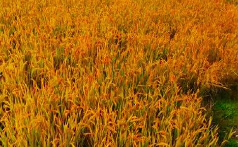 �P(gu��n)����������300�֣�ͨ��23ƪ��