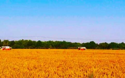 ����(sh��)�á���������300��49ƪ