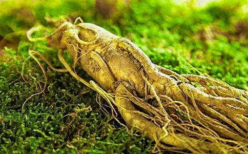 �Ұl(f��)�F���˅����꼉����700��