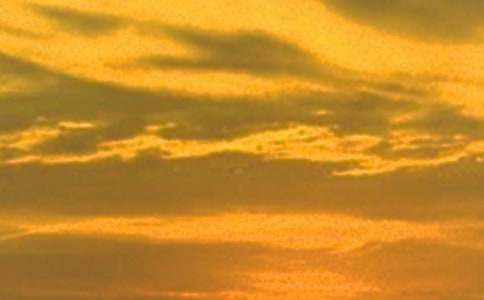 ��(xi��)�������������