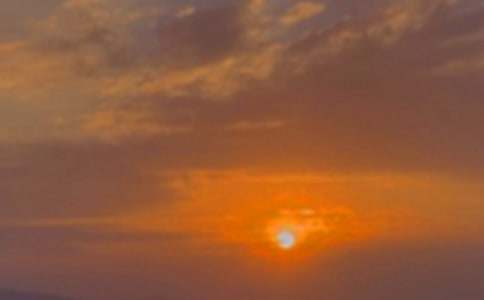 �P(gu��n)������С�W(xu��)���ģ�ͨ��31ƪ��