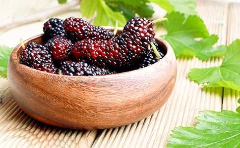 又到桑葚成熟時(shí)初三作文