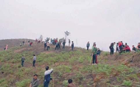 第一次給爺爺掃墓作文