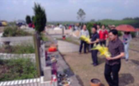 去烈士陵園掃墓900字作文