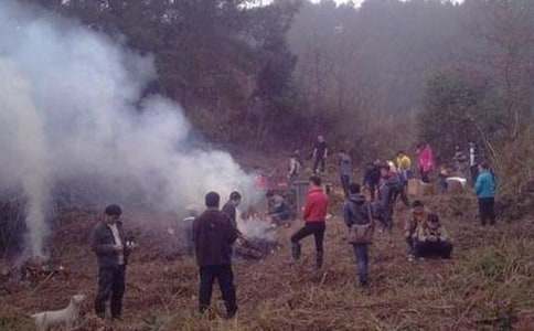 九年級烈士陵園掃墓作文