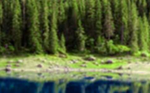 Ψ�������ľ��x��ɽˮ���{