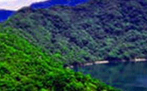 我心中的山水田園——孟浩然作文