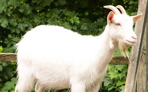 ɽ�����ͯԒ(hu��)����