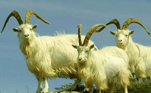 ����Ǻ�Сɽ������300��