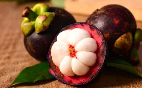 吃山竹的作文(精選20篇)