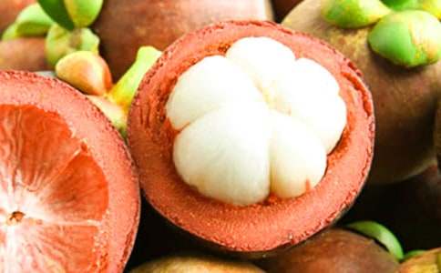 吃山竹比賽作文