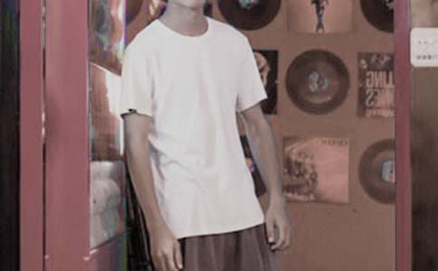 少年閏土優(yōu)秀教學(xué)設計