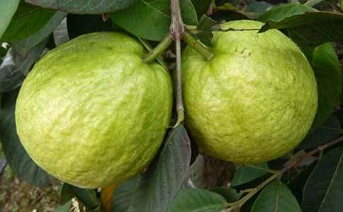 �ļ���ʯ���(sh��)����600��