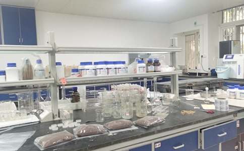 2016年北京卷中考作文范文:奇妙的實(shí)驗室