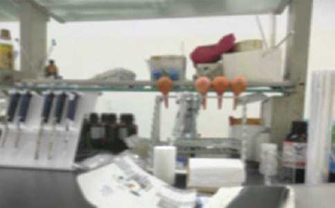 ��(m��ng)��Č�(sh��)������꼉����