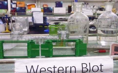 北京卷中考作文范文:奇妙的實(shí)驗室(精選25篇)