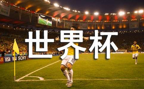 �ҿ����籭800������