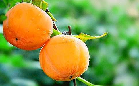 �P(gu��n)�����ӵ�����200��