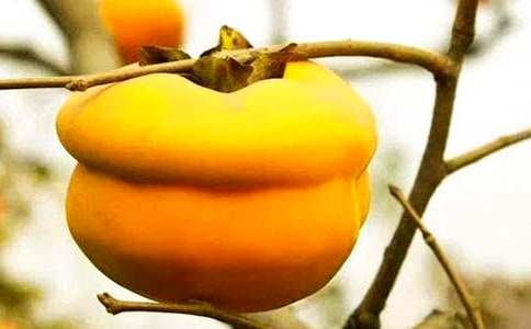 ���l�����Ә�(sh��)���ģ�ͨ��36ƪ��