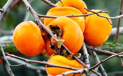 ���l�����Ә�(sh��)