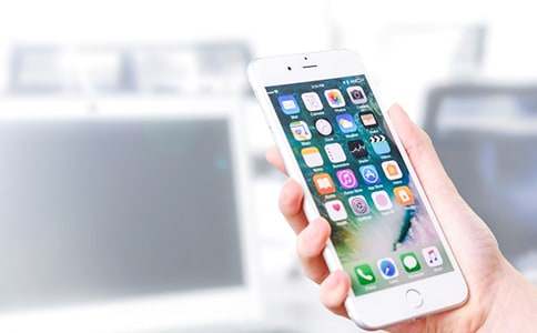 愛(ài)看手機的爸爸作文