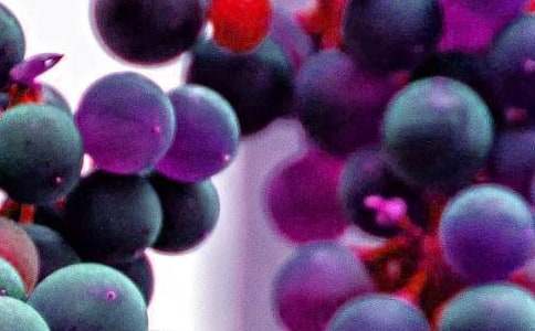 ˮ��ͯԒ(hu��)�����ģ����x22ƪ��