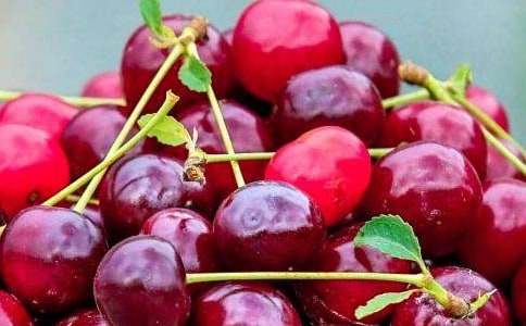 С���W(xu��)���Z(y��)�Խ̰���ˮ������ȥ���С�