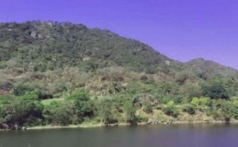 水庫作文400字5篇