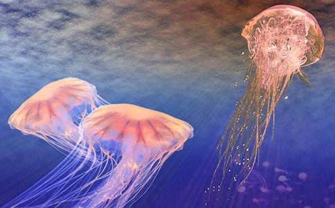 �^(gu��n)��ˮĸ������(�R��4ƪ)