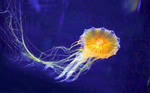 ˮĸ����(l��i)�Ć�ʾ����