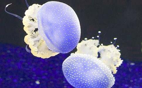 ˮĸ����600�֣����x26ƪ��