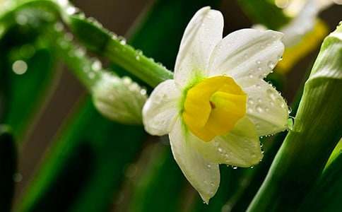 ���l��ˮ��800��-��������