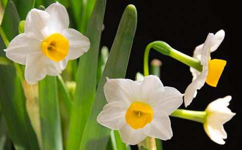 С�W(xu��)���ģ��^(gu��n)��ˮ��