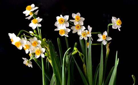 ˮ������400��3ƪ