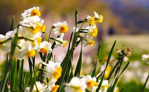 ��ˮ�ɻ����^(gu��n)������