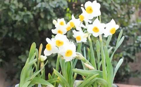 �����^(gu��n)��ˮ�ɻ�����15ƪ