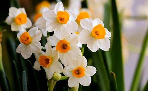 ��ˮ�ɻ����}Ŀ�����꼉����