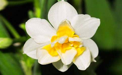 ��(xi��)�^(gu��n)��ˮ�ɻ����L(ch��ng)�^(gu��)������600�֣�ͨ��10ƪ��