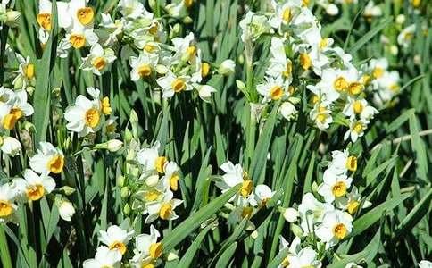 ˮ�ɻ�������