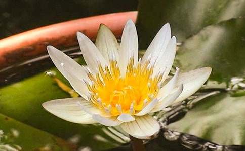 ˯ɏ����600��9ƪ