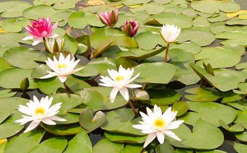 ˯ɏ�~������400��