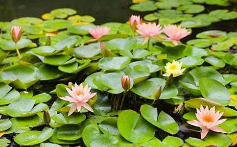 �����A��˯ɏ����300��4ƪ