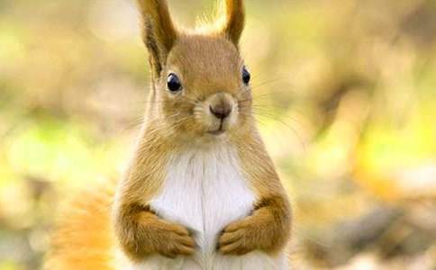 ��������ɹ����n�̰̽�