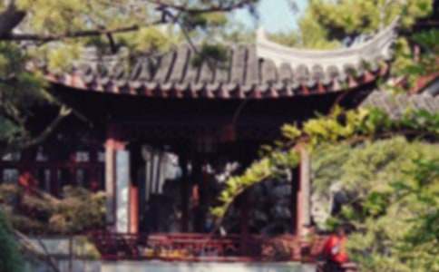 小學(xué)美麗的蘇州園林作文