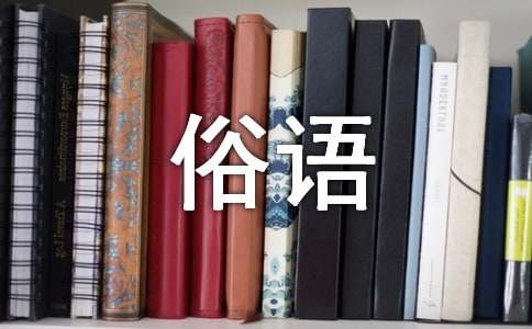 與馬有關(guān)的俗語(yǔ)集錦