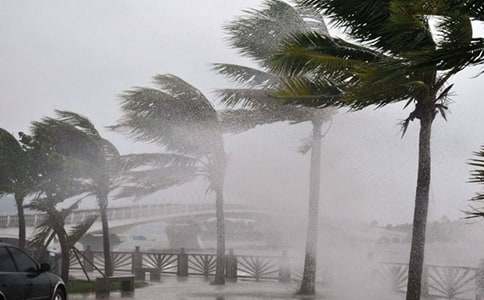 大班主題臺風(fēng)“龍王”新聞教案