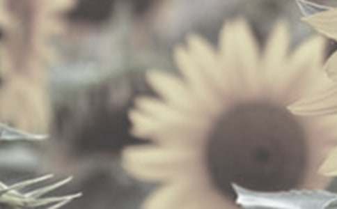 ̫�(y��ng)����������